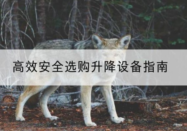 斗门升降货梯厂家推荐-*安全选购升降设备指南