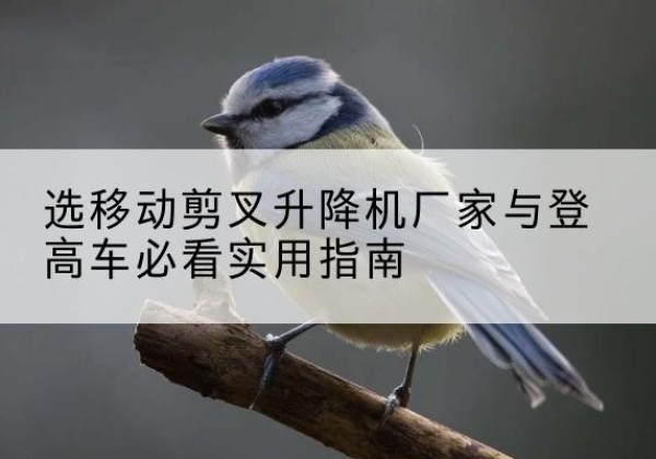 斗门电动升降机厂家-选移动剪叉升降机厂家与登高车必看实用指南