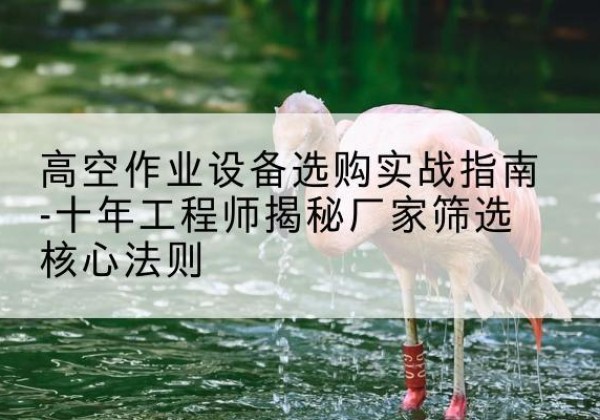 斗门剪叉式升降机厂家-高空作业设备选购实战指南-十年工程师揭秘厂家筛选核心法则